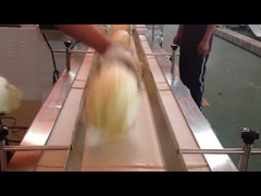 Horizontale Fluss-Satz-Maschine