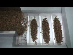 Verpackungsmaschine der Fabrikpreisrosine, Verpackungsmaschine der Nüsse, trocknete Verpackungsmaschine der roten Daten