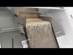 Reisfarbsortierende Maschine