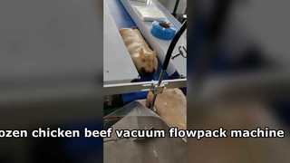 Einfach zu bedienende Vakuum-Kissenverpackungsmaschine für gefrorenes Huhn, Rind- und Schweinefleisch, Flow-Pack-Verpackungsmaschine