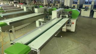 Tofu Skin Packaging Machine Fast & Efficient